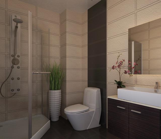 卫生间装修的风水禁忌，你都知道吗？(图1)