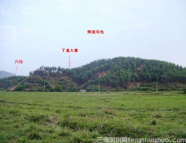 阴宅风水之五龟下田来饮水，新山穴点母龟头(图2)