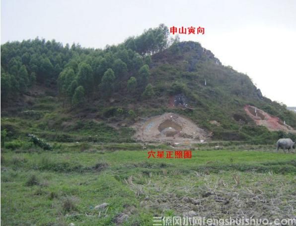 阴宅风水之五龟下田来饮水，新山穴点母龟头(图3)