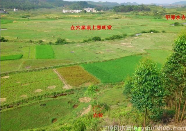 阴宅风水之五龟下田来饮水，新山穴点母龟头(图6)