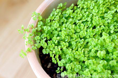 面相看你的父母好不好