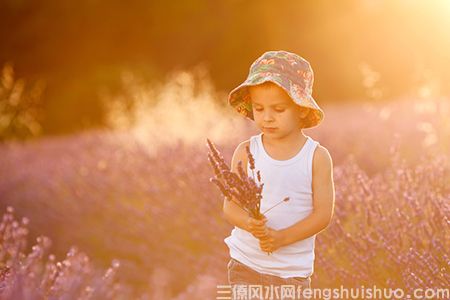 什么是建筑学中的五虚和五实