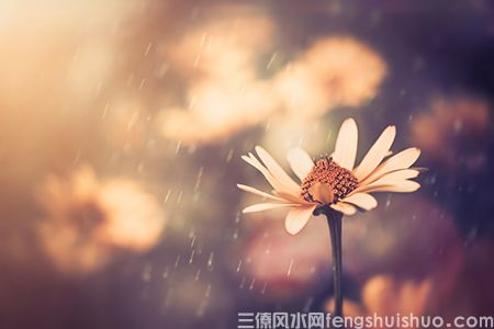 2021年中堂挂哪些画风水好？