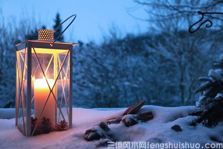 家中各区域适合摆放的植物(图1) 家中各区域适合摆放的植物(图1)