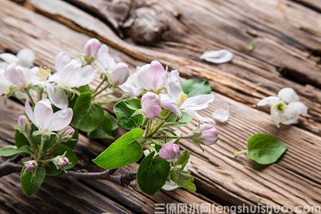 2021进门见到什么最好？