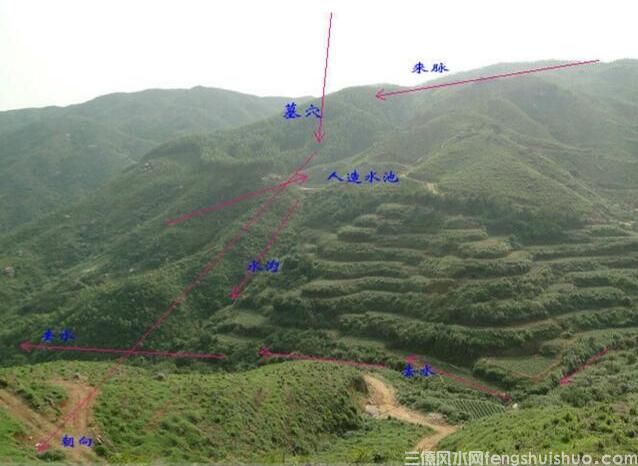 祖坟上有这4种现象，后人必有福，非富即贵！(图2)