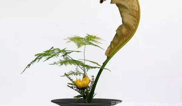 三僚风水师告诉你财位摆放什么容易招财