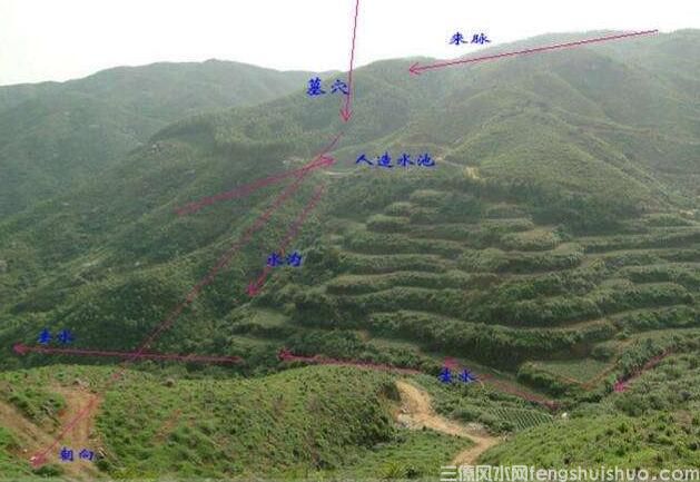 好风水墓地的明显特征，如何判断墓地风水好坏(图2)