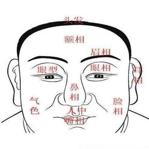【男人面相图解】男人什么面相赚钱能力极强?