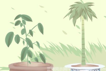 厨房中适合悬挂吉祥物吗？可以放什么风水摆件？(图2)