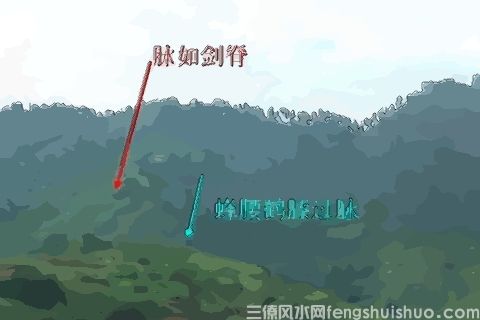 祖坟上有一物大吉 祖坟上长草好不好？